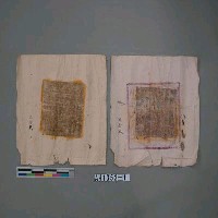 藏品(天金紙)的圖片